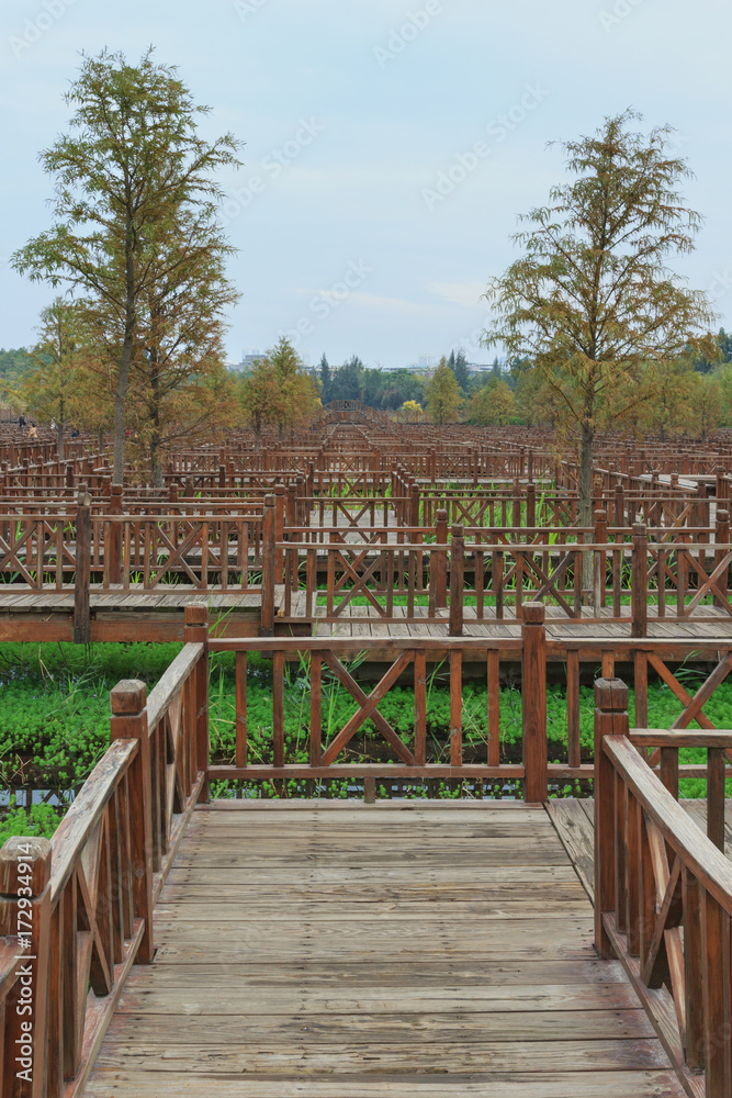 Xiamen Wetland Park