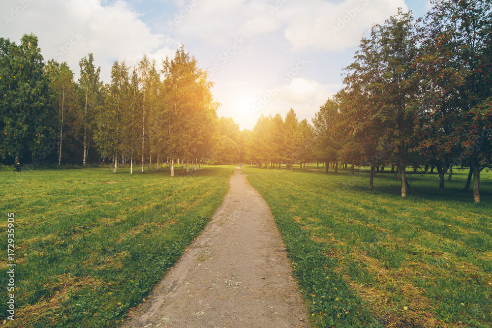 Obraz premium park in the fall at sunset