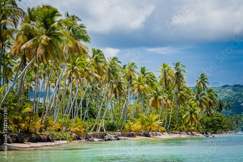 Amazing landscape in the wil beach Playa Bonita  Las Terrenas  Dominican Republic