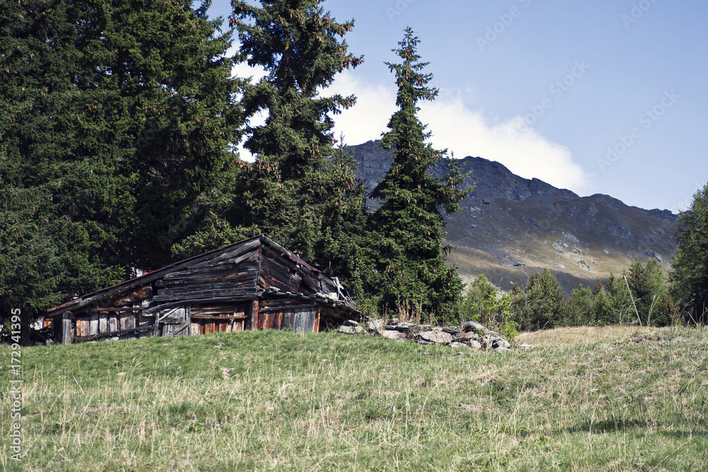 Obraz premium La vecchia baita in legno , sui pascoli di montagna