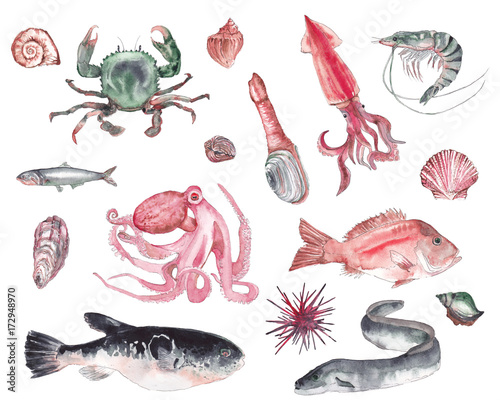 Obraz na plátně A set of different seafood made in watercolor