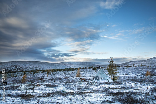 tsaatan family yurt in a landscape of northern Mongolia photo