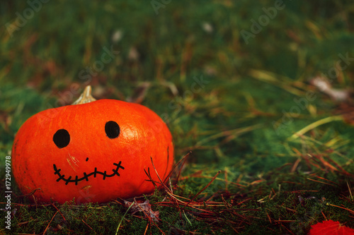 Wallpaper Mural Halloween pumpkin on nature background. Holiday Halloween concept. Torontodigital.ca