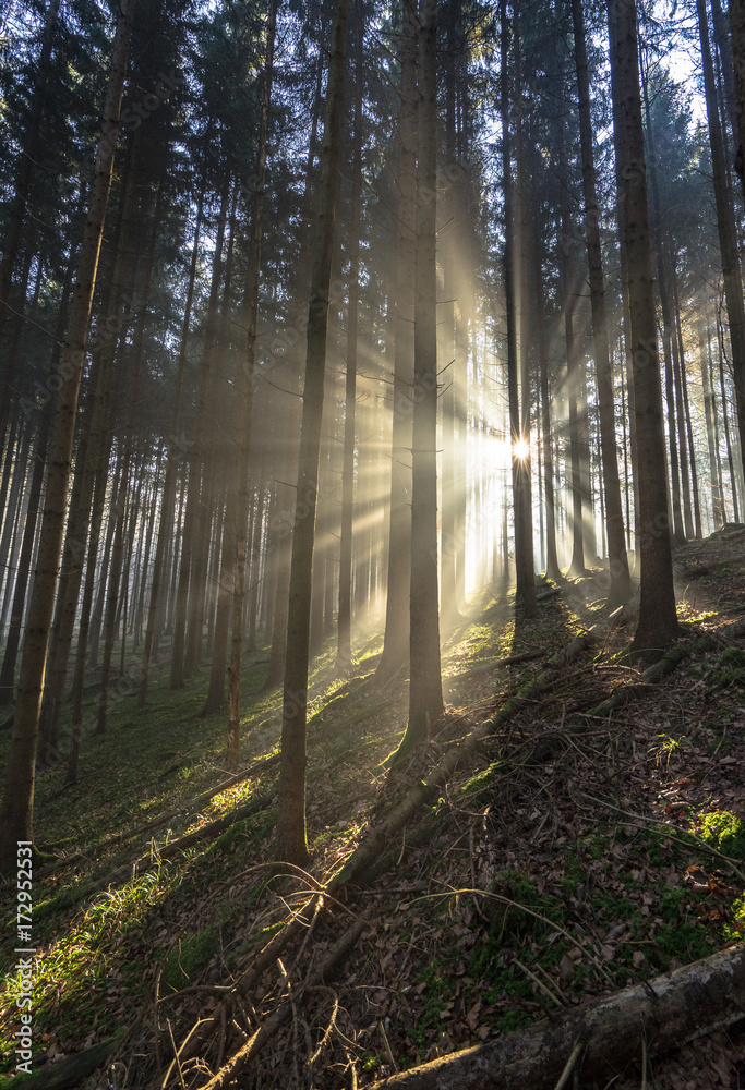 Fototapeta premium Lichtstrahlen