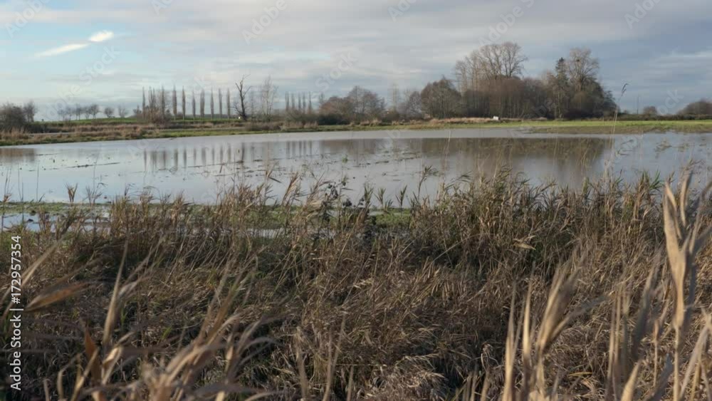 Farmland Flooding 4K UHD. A dolly shot of a farm field flooded after heavy rain. 4K. UHD.
Farmland Flooding 4K UHD. A dolly shot of a farm field flooded after heavy rain. 4K. UHD.