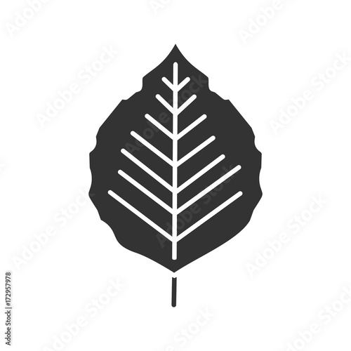 Poplar leaf glyph icon