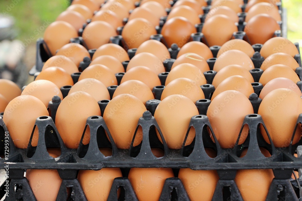 Eggs in the panel at the market