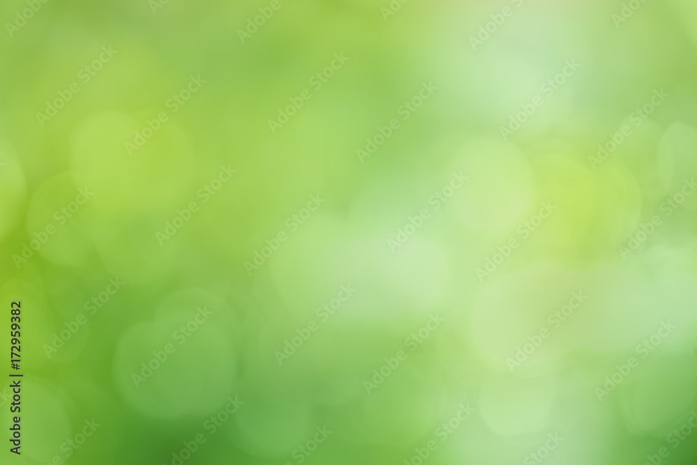 Obraz premium Abstract defocused green blurred background
