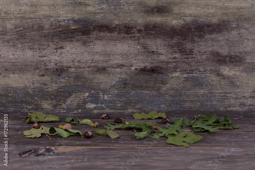 autumn old interior abstract wooden background