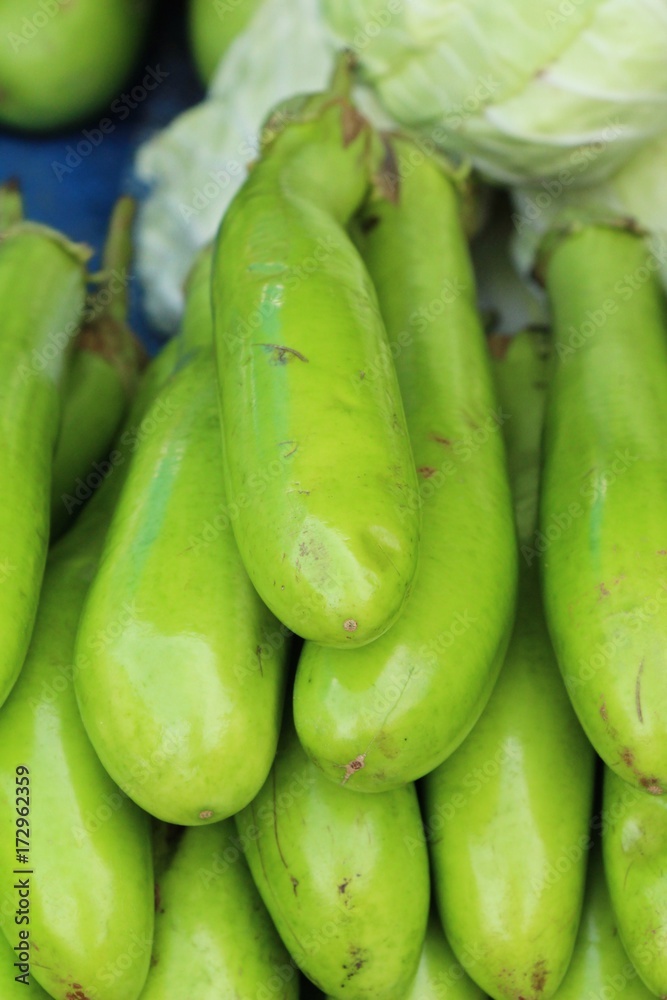 Fresh eggplant green organic in the market Fresh eggplant green organic in the market