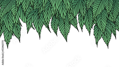 Hand drawn ivy leaves