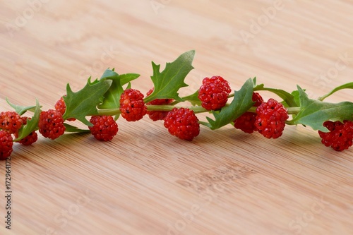 Chenopodium foliosum (strawberry spinach) on a cutting board photo