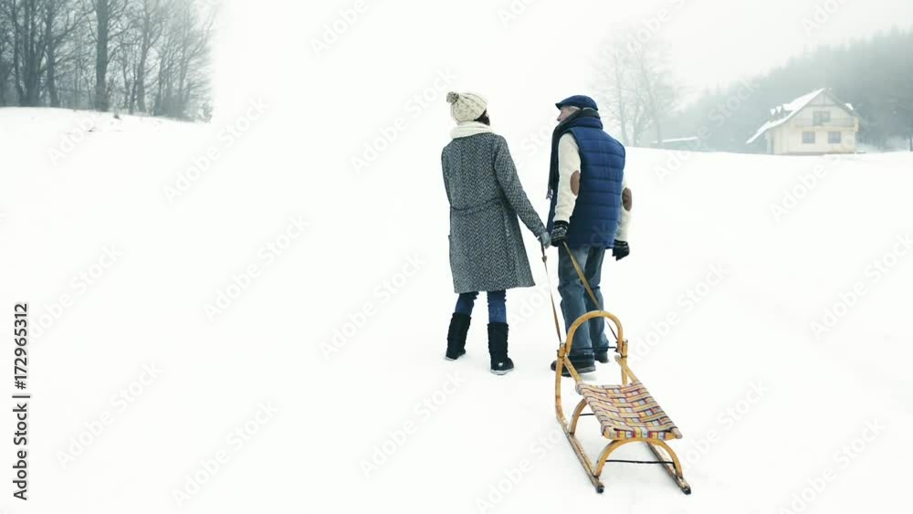 Beautiful senior couple on a walk pulling sledge, winter day. Beautiful senior couple on a walk pulling sledge, winter day.