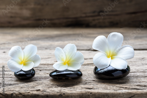Pile of zen stones and Frangipani flower isolated on white background