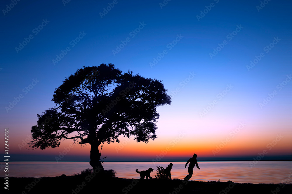 湖畔を散歩する親子と犬のシルエット