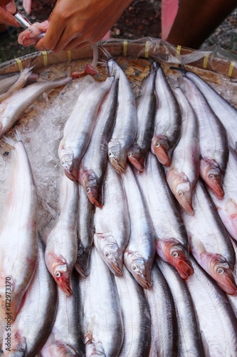 Fresh fish for cooking in the market