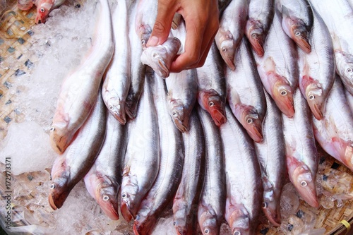 Fresh fish for cooking in the market