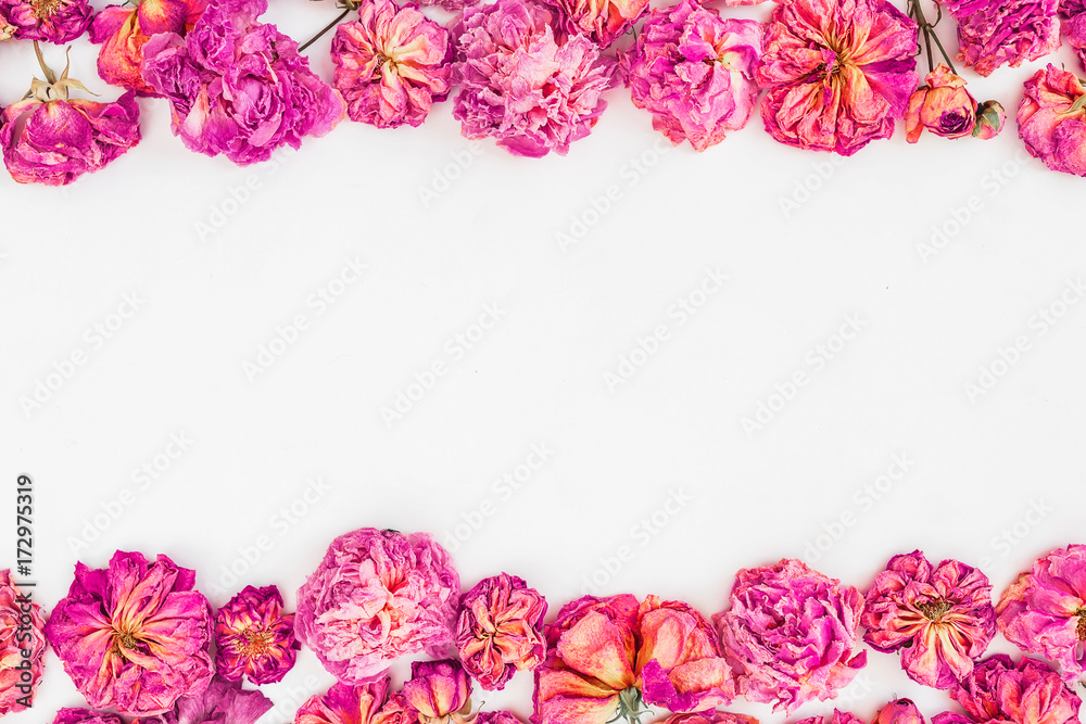Floral frame made of pink roses isolated on white background, Flat lay, Top view Floral frame made of pink roses isolated on white background, Flat lay, Top view