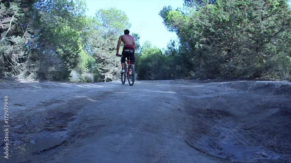 Mountain bikers riding and enjoying in a forrest Mountain bikers riding and enjoying in a forrest