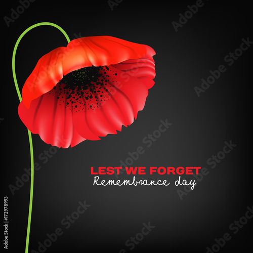 Remembrance Day greeting card. Beautiful. realistic red poppy flower on black background with lettering