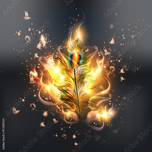 Beautiful vector burn feather with fire