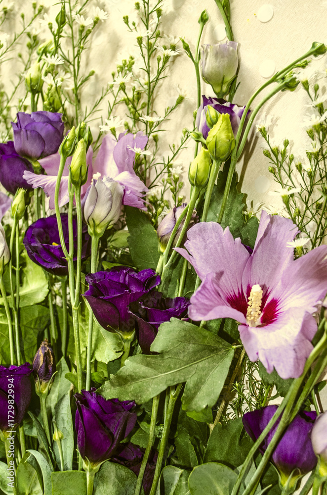 Fowers of purple hues of Lisianthus and Hibiscus framed by white small flowers of Gypsophila

