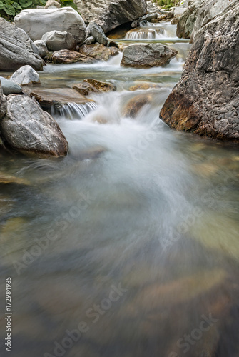 A forest river with clean cold water. Rapid flow of water in the wild