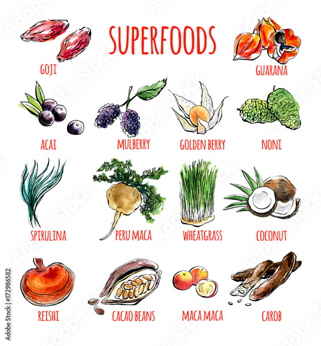 Big set of vector doodle illustrations of the most popular super foods. Collection of hand drawn fruits, plants and berries with black outline and watercolor stains isolated on white background.
