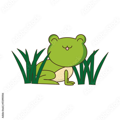 Fototapeta Naklejka Na Ścianę i Meble -  cute frog icon
