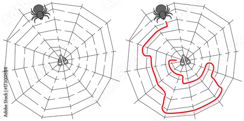 Easy spider maze