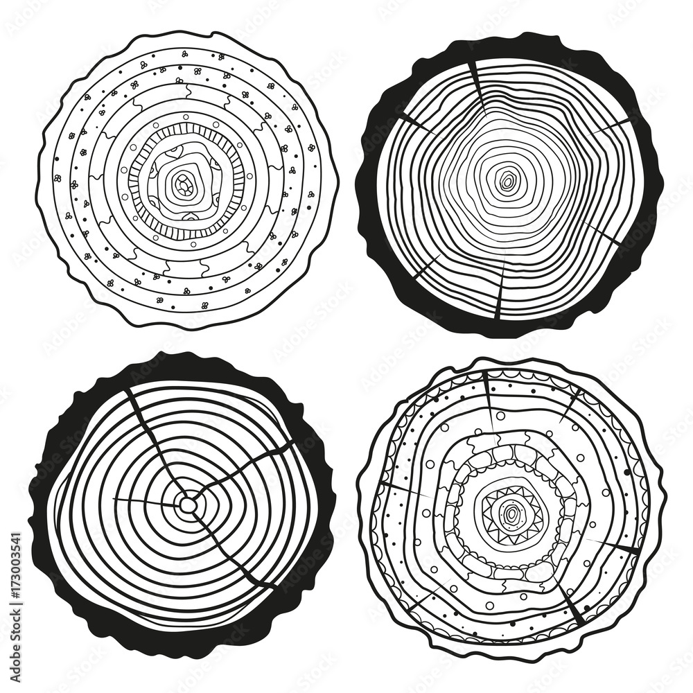 Tree rings. Cross section of the tree.Set of tree rings on isolation ...