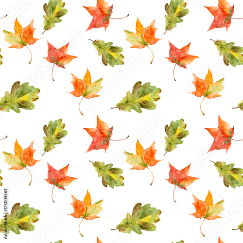 Watercolor illustration. Seamless pattern of hand-drawn maple and oak leaf on the white background.