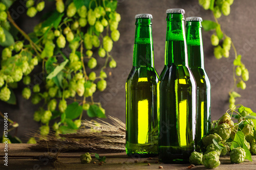 Three green bottle of beer on gray wooden wall with hops.