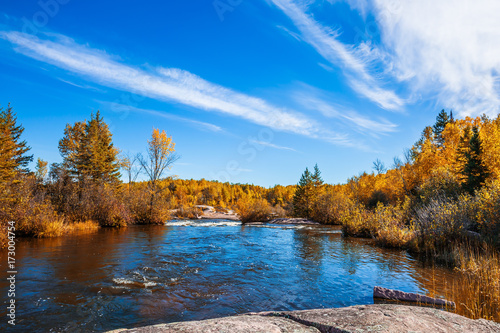 Tranquil scenery in the autumn park photo