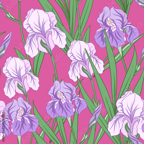 Seamless pattern with purple iris in Japanese style. Vector stoc