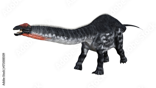 3D Rendering Dinosaur Apatosaurus on White © photosvac