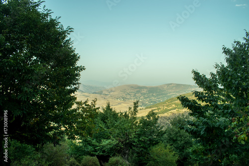Green tree forest and mountain background, beautiful bird eye view