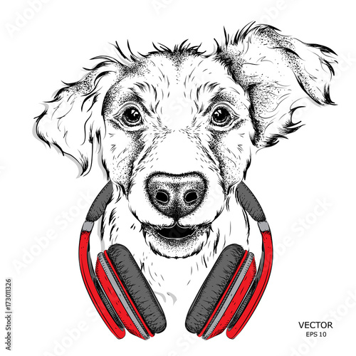 Dog with headphones. Vector illustration.