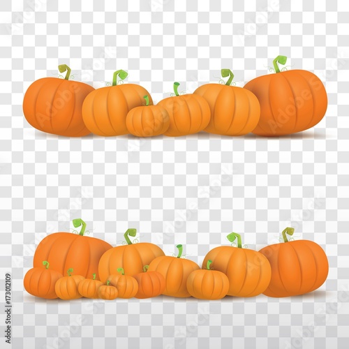 autumn vector orange pumpkins border design template for banners and thanksgiving day backgrounds.