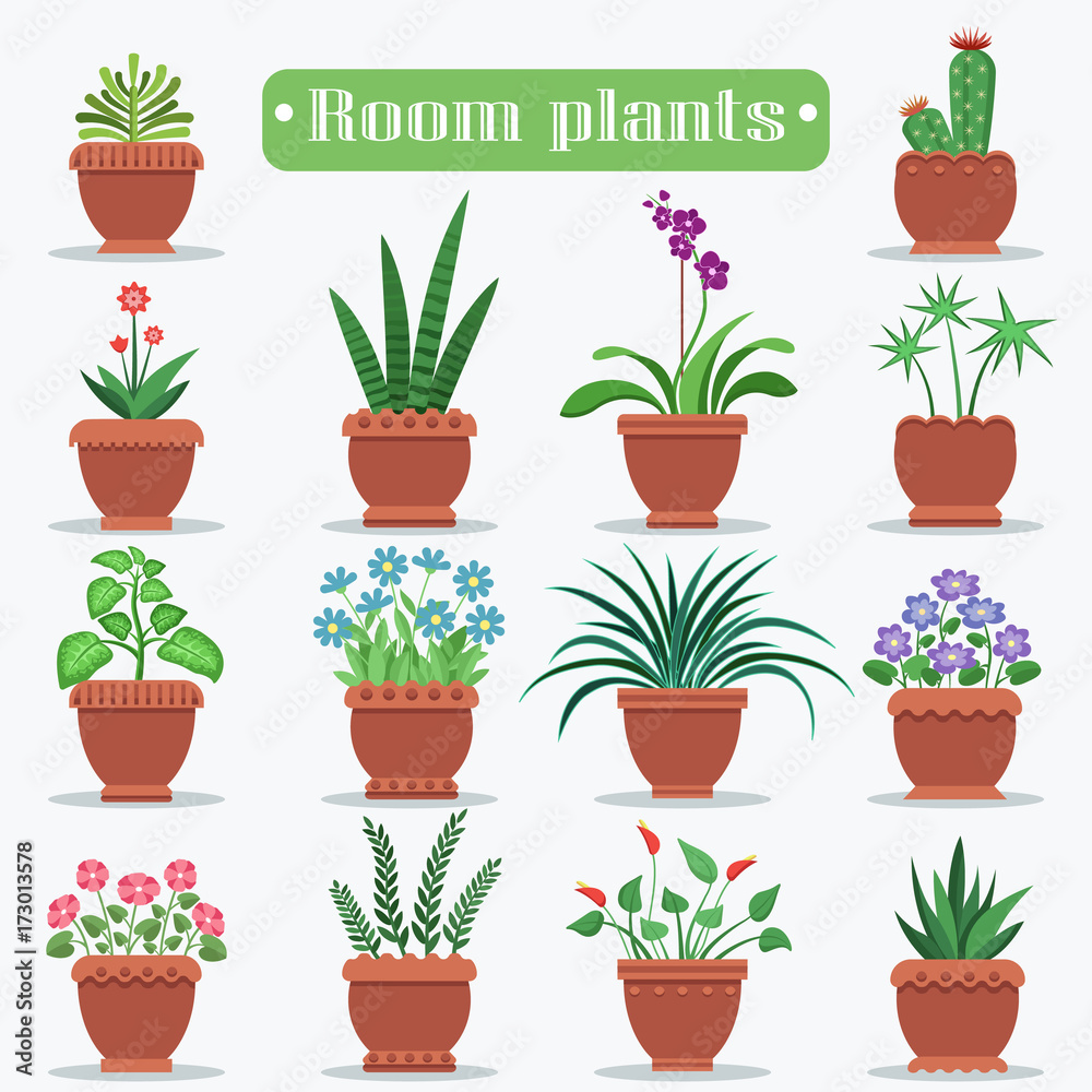 Decorative Room Plants in Clay Pots Illustrations