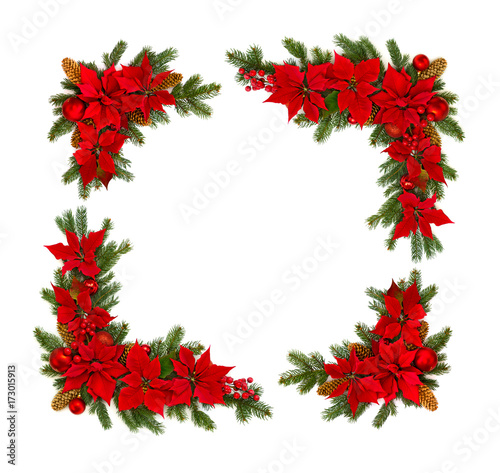 Christmas decoration. Frame of flower of red poinsettia  branch christmas tree  christmas ball  red berry and cone spruce on a white background with space for text. Top view  flat lay.