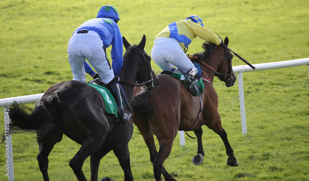 Two race horses and jockeys competing in a race Two race horses and jockeys competing in a race
