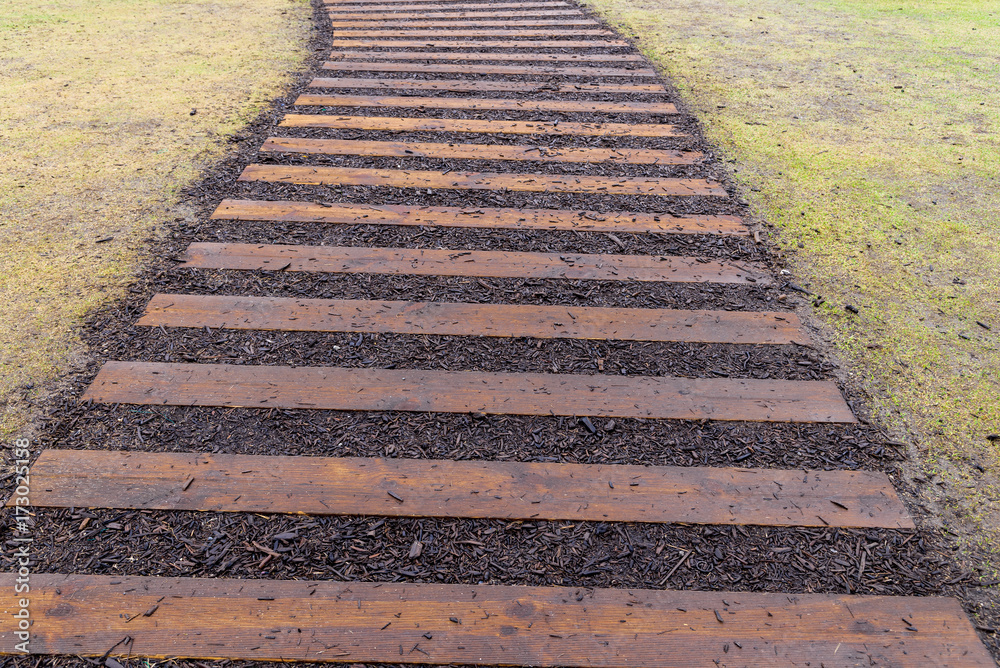 Wood path walkway and green grass lawn in perspective view