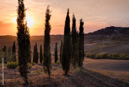 Casale Marittimo, Tuscany, Italy, view from the cypresses on september