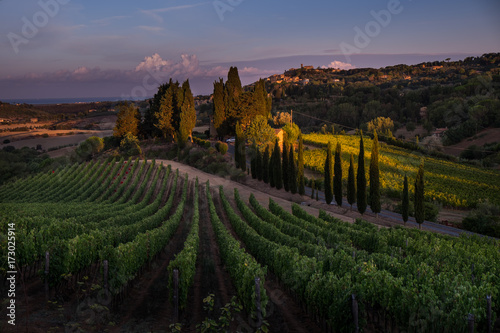 Casale Marittimo, Tuscany, Italy, view from the vineyard on september