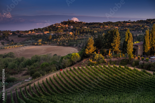 Casale Marittimo, Tuscany, Italy, view from the vineyard on september