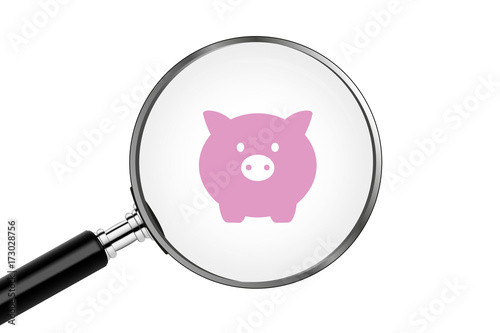 Lupe sucht/findet - Sparschwein
