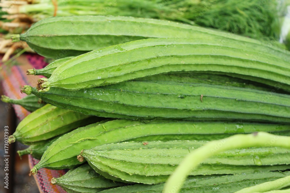 Fresh luffa acutangula for cooking in market Fresh luffa acutangula for cooking in market