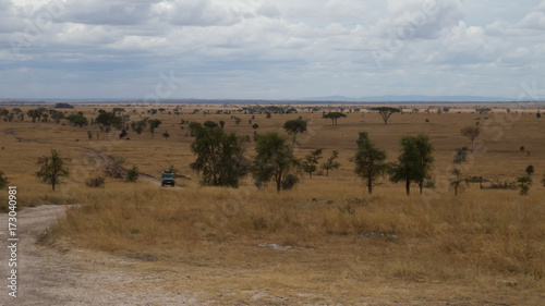 Serengeti landscape in dry season