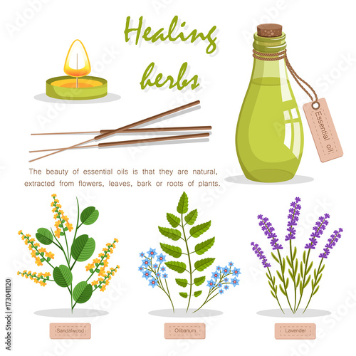 Healing Herbs in Essential Oil Promotion Poster